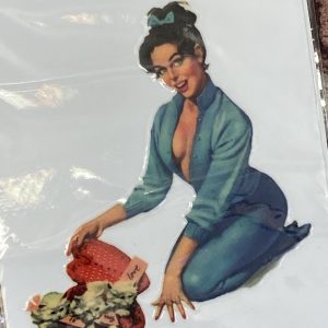 Retro Style 50's/60's Pin Up's Sticker "Kittens in a Basket" no.11