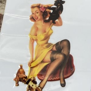Retro Style 50's/60's Pin Up's Sticker "Puppy Playtime" no.15