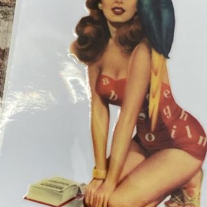 Retro Style 50's/60's Pin Up's Sticker "Reading With Parrot" no.23