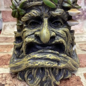 Tree Ent Pot Holding Beard