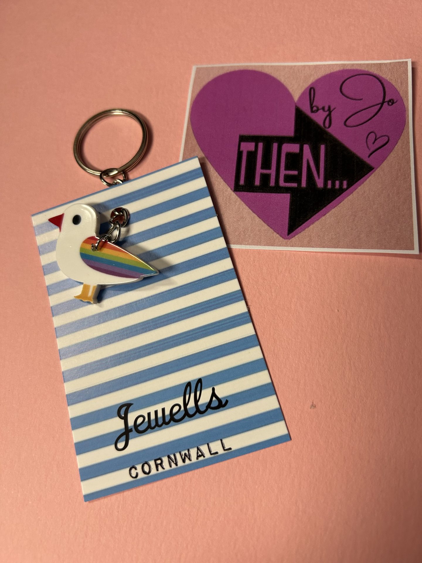 Resin Seagull Rainbow Striped Chain Keyring by Jewells - Image 2