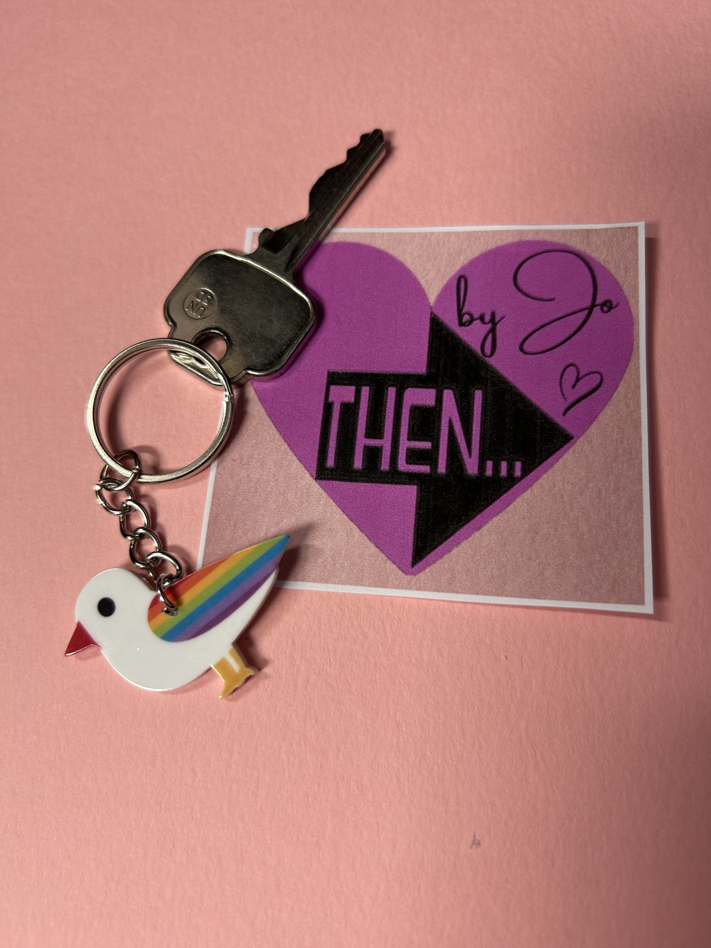Resin Seagull Rainbow Striped Chain Keyring by Jewells
