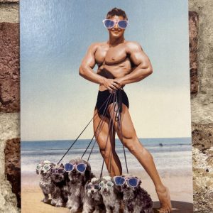 Postcard, Dogwalker Beefcake On The Beach