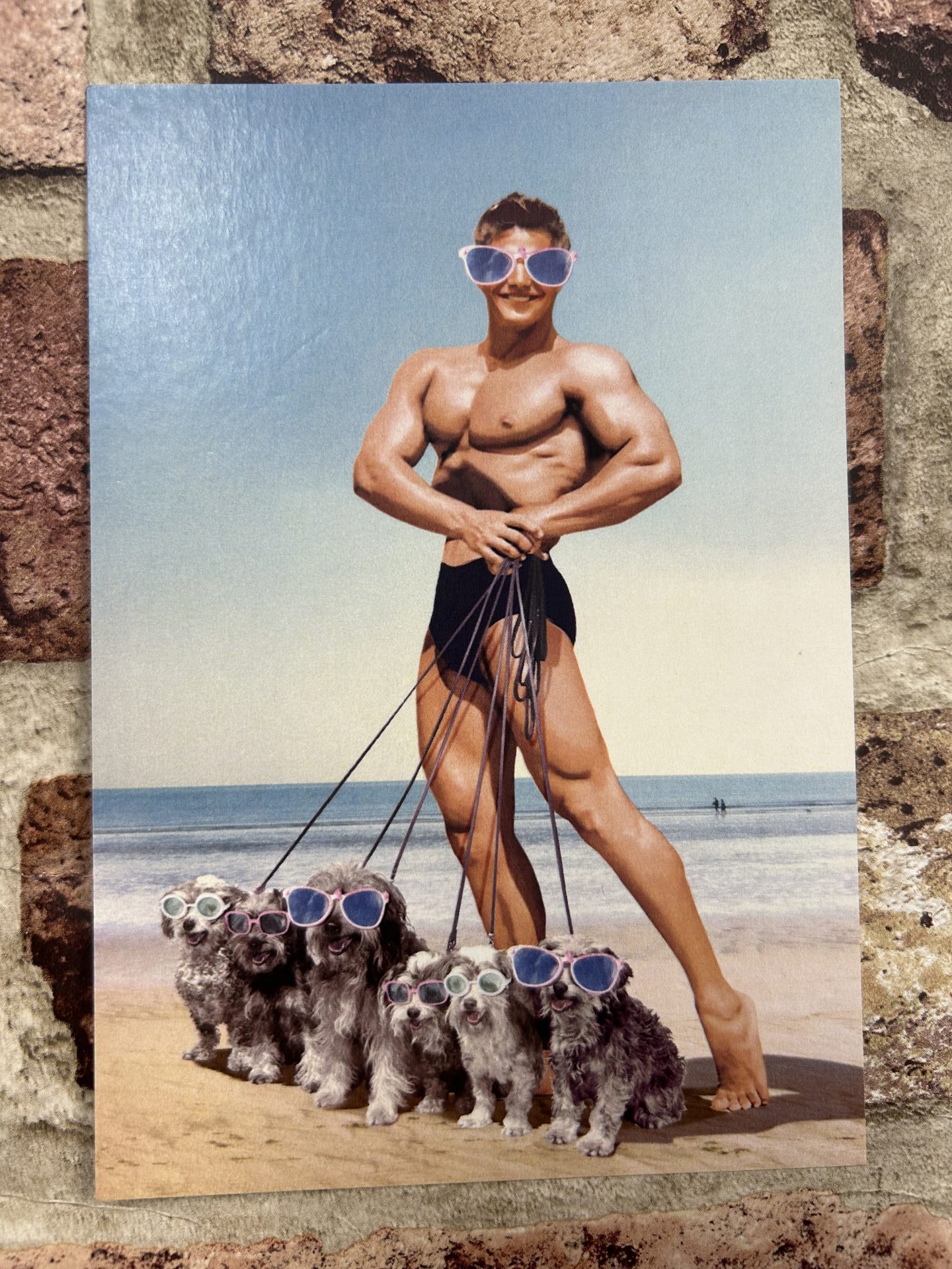 Postcard, Dogwalker Beefcake On The Beach