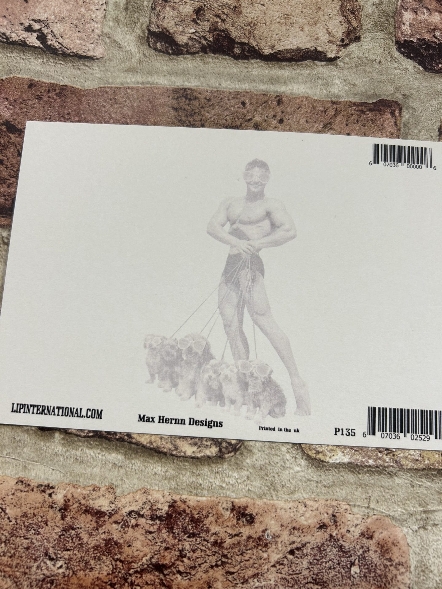 Postcard, Dogwalker Beefcake On The Beach - Image 2
