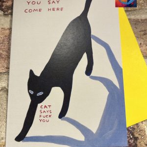 David Shrigley Card Cat Says F*ck You