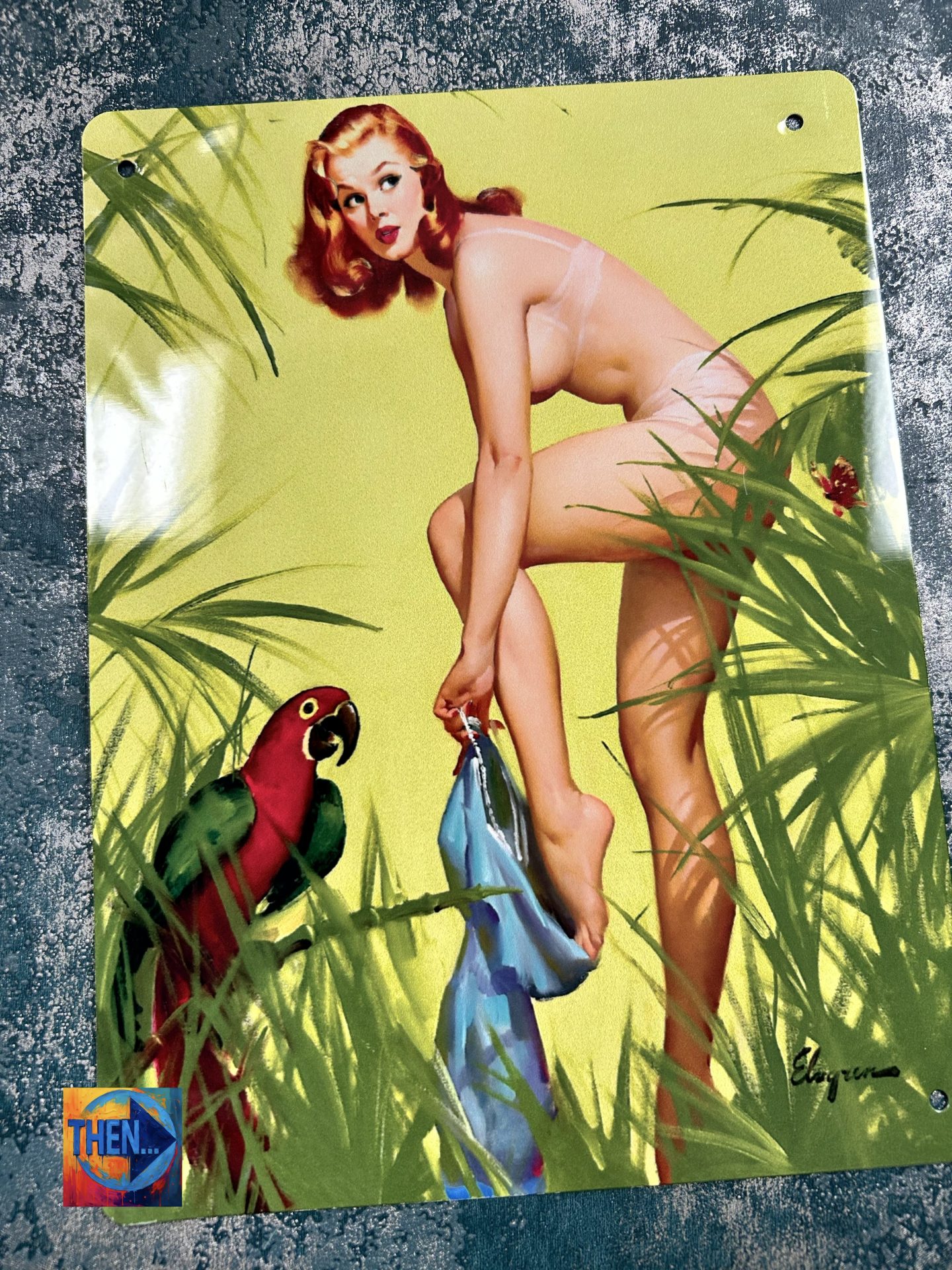 Metal Sign Aluminium, Pin up Girl and Forest Parrot , Small