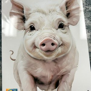 Metal Sign Aluminium, Cute Pig, Small