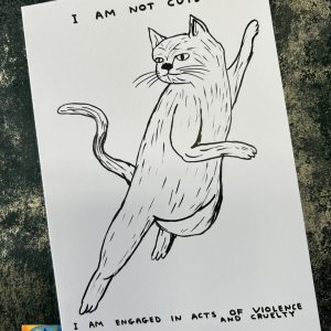 David Shrigley Funny Greetings Card I Am Not Cute