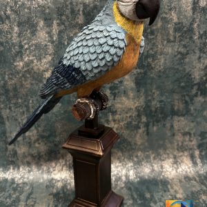 Macaw The Parrot Decorative Ornament