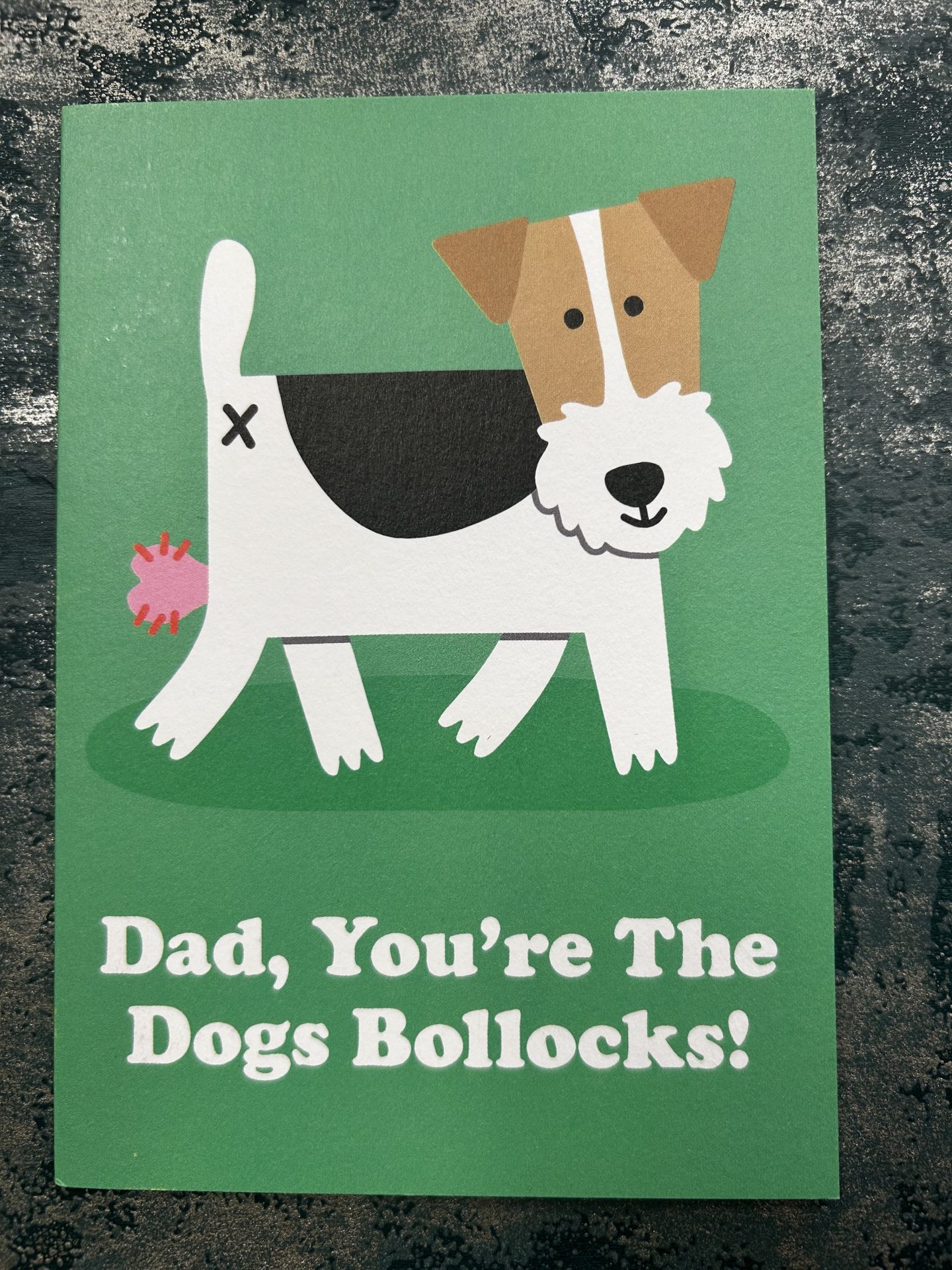 Dad, You're The Dogs Bollocks! Card by Studio Boketto (Fathers Day)